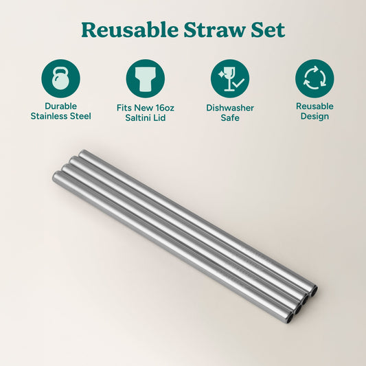 saltini-straw-set-u7 4PK_SaltiniStraws_SS-2.jpg