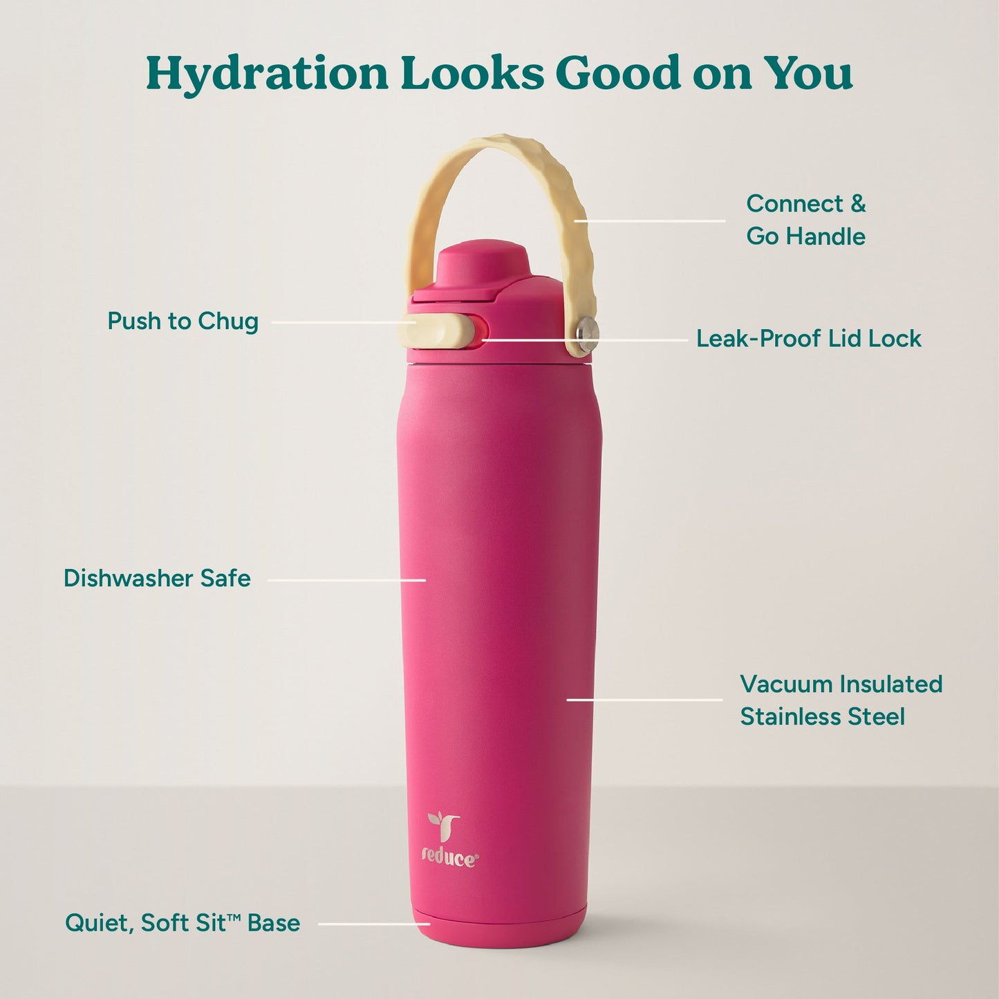 aura-26-oz-x9 Aura_26oz_DragonFruit_PDP_Infographic_2-03.jpg