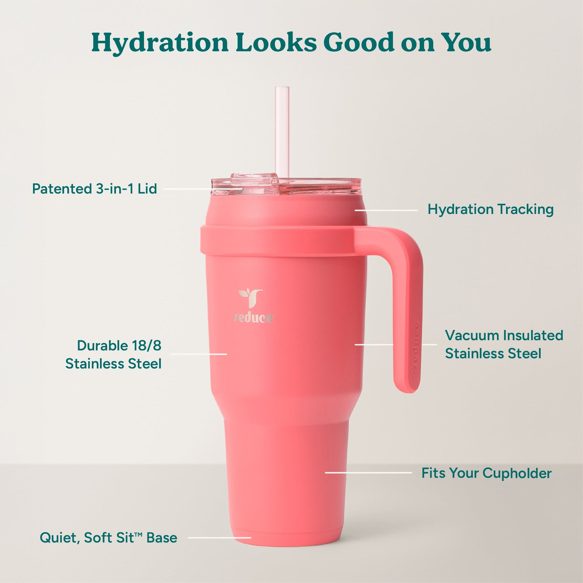 cold1-40-oz-y6 Cold1_40oz_Daiquiri_Infographic_2.jpg