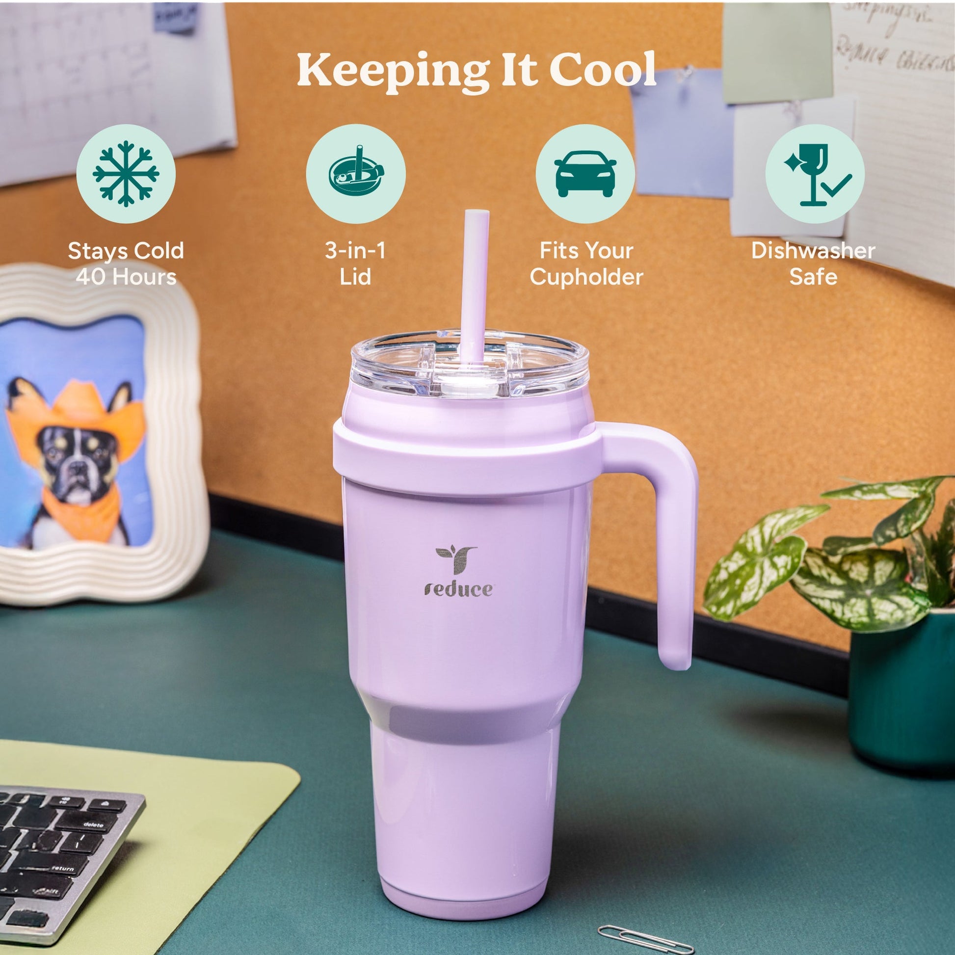 cold1-40-oz-k6 Cold1_40oz_PalmLeaf_Infographic_1.jpg