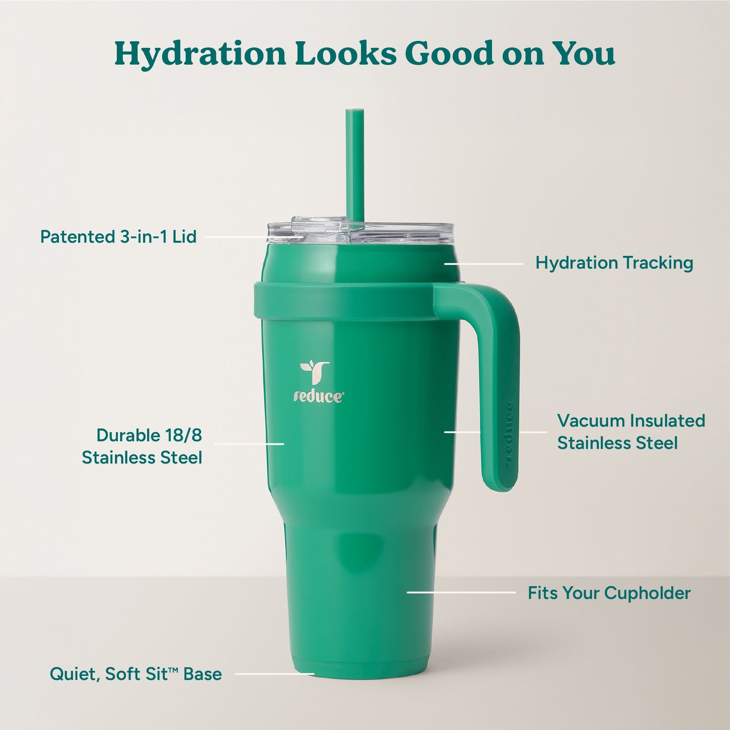cold1-40-oz-k6 Cold1_40oz_PalmLeaf_Infographic_2.jpg