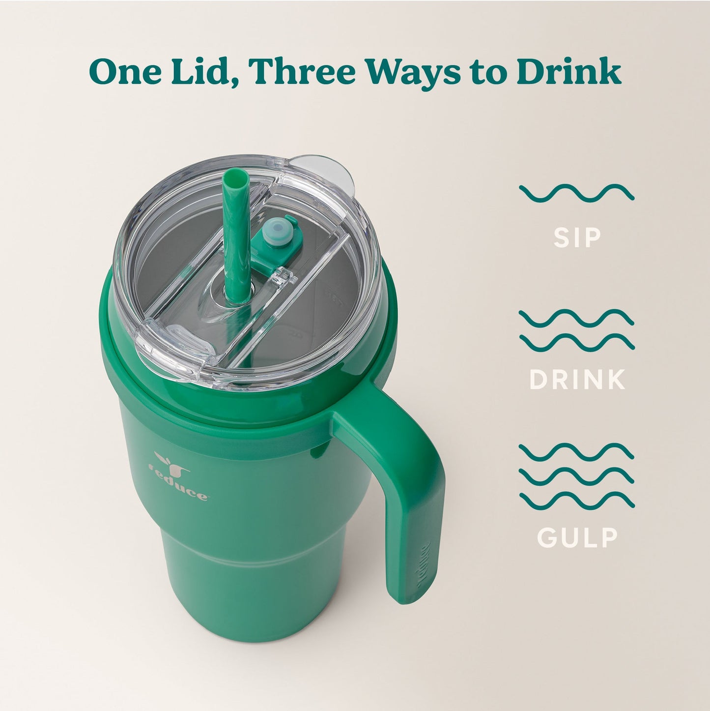 cold1-40-oz-k6 Cold1_40oz_PalmLeaf_Infographic_3.jpg
