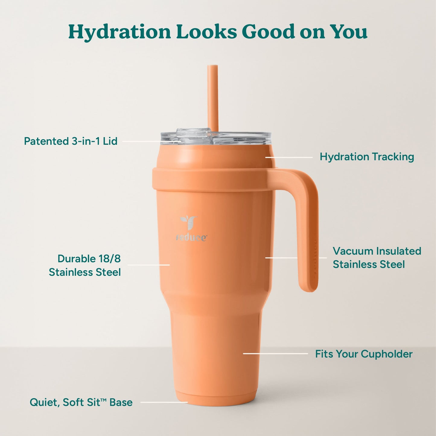 cold1-40-oz-k6 Cold1_40oz_Papaya_Infographic_2.jpg