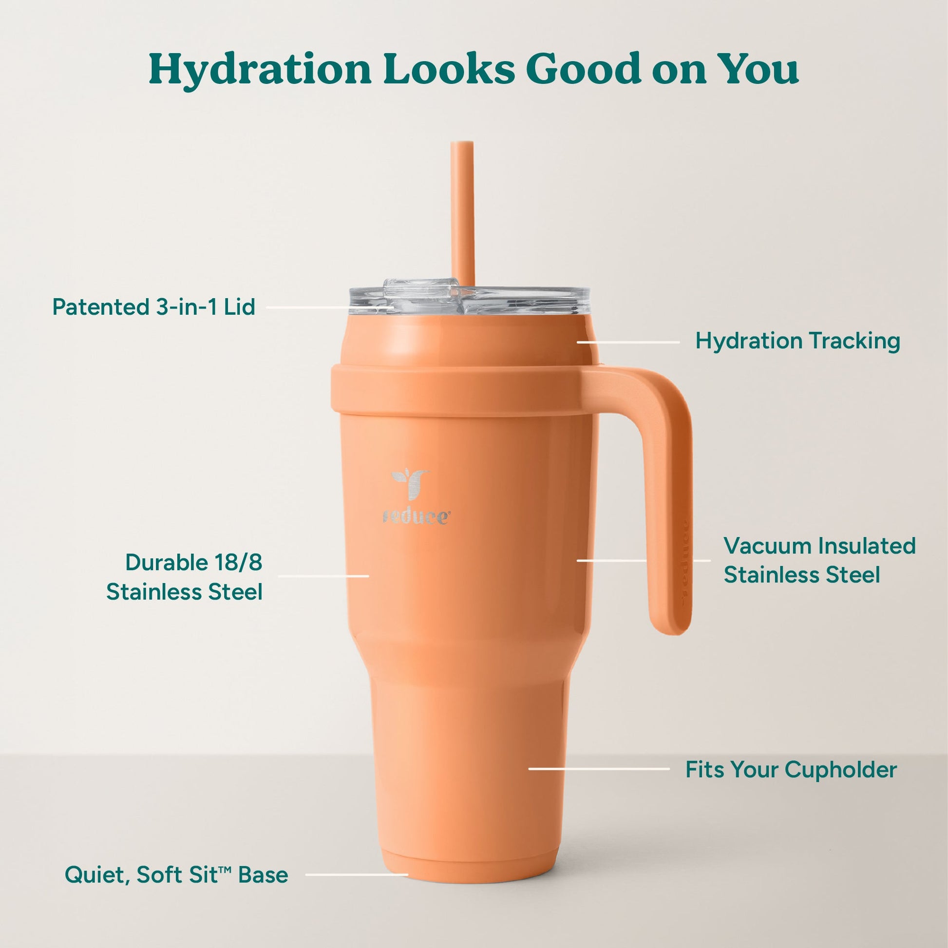 cold1-40-oz-k6 Cold1_40oz_Papaya_Infographic_2.jpg